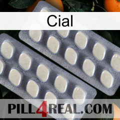 Cial 07